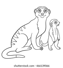 Coloring pages. Mother meerkat with her little cute baby.
