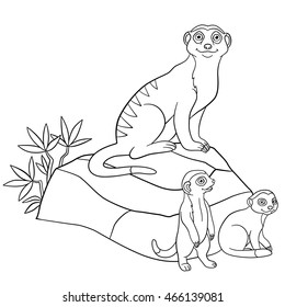 Coloring pages. Mother meerkat with her little cute babies on the stones.