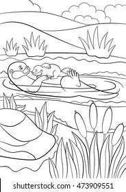 Coloring pages. Mother otter swims with her little cute baby in the river and smiles.