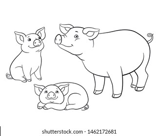 Coloring pages. Mother pig with her two little cute piglets.