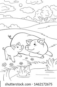 Coloring pages. Mother pig plays with her little cute piglets.