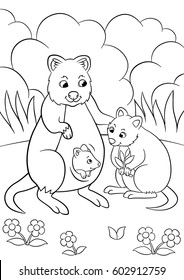 Coloring pages. Mother quokka with her little cute babies.