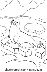 Coloring pages. Mother seal with her little cute baby on the ice floe in the ocean.