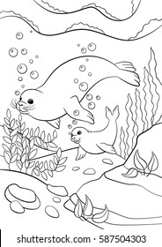 Coloring pages. Mother seal with her little cute baby swim underwater and smile.