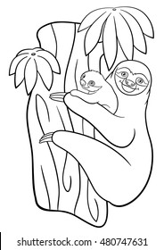 Coloring pages. Mother sloth with her little cute baby hangs on the tree and smiles.