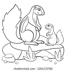 Coloring pages. Mother xerus with her little cute baby.