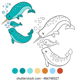 Coloring pages: narwhal. Mother, father and baby narwhals swim and smile.