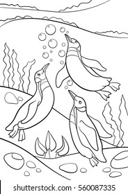 Coloring pages. Three little cute penguins swim underwater and smile.