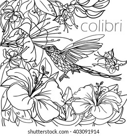 Coloring pages with tropical birds, flowers and leaves. Background. Vector.