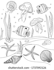 Coloring pages. Tropical fish, seashell, jellyfish and starfish vector illustration. Outline underwater scene. Black and white exotic marine bottom life. Cartoon doodle butterflyfish and shells