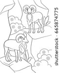 Coloring pages. Two beautiful urials stand on the mountain and smile.