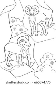 Coloring pages. Two beautiful urials stand on the mountain and smile.