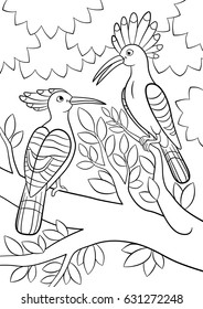 Coloring pages. Two cute beautiful hoopoes sit on the tree branch and smile.
