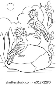 Coloring pages. Two cute beautiful hoopoes sit and smile.