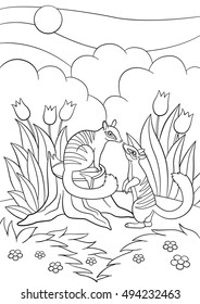 Coloring pages. Two little cute numbats look at each other and smile.