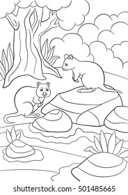 Coloring pages. Two little cute quokkas stand in the forest.