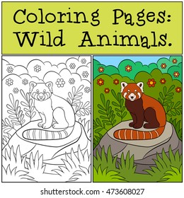 Coloring Pages: Wild Animals.