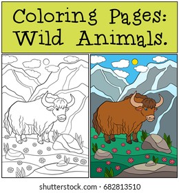 Coloring Pages: Wild Animals. Beautiful cute yak stands and smiles.