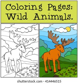 Coloring Pages: Wild Animals. Cute elk stands in the forest and looks at red berries.