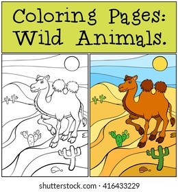 Coloring Pages: Wild Animals. Cute camel stands on the sand in the desert and smiles.