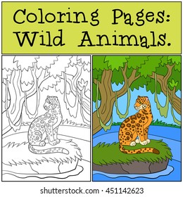 Coloring Pages: Wild Animals. Cute jaguar sits on the grass in the forest. There is water around. 