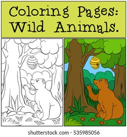 Coloring Pages: Wild Animals. Cute brown bear looks at the beehive with honey in the forest.