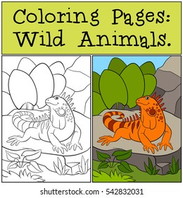 Coloring Pages: Wild Animals. Cute orange iguana sits on the rock and smiles.