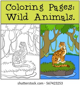 Coloring Pages: Wild Animals. Cute jaguar sits on the grass in the forest. There is water around. 