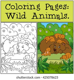 780 Daddy Bear Coloring Pages  HD