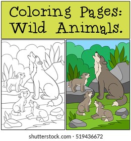 Coloring Pages: Wild Animals. Father wolf howls with his three little cute babies.