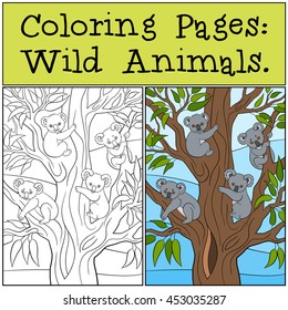 Coloring Pages: Wild Animals. Four little cute koala babies sit on the tree and smile.