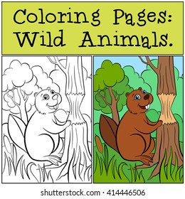 Coloring Pages: Wild Animals. Little cute beaver stands near the tree.