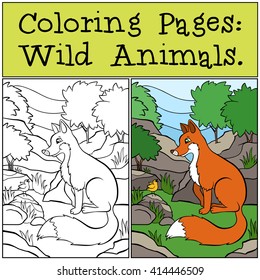 Coloring Pages: Wild Animals. Little cute fox sits and looks at singing bird.