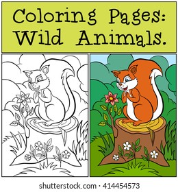 40 Cute Squirrel Coloring Pages Pictures