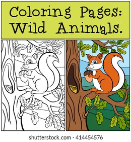 Coloring Pages: Wild Animals. Little cute squirrel stands on the oak branch and smiles.