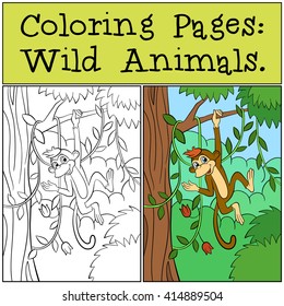Coloring Pages: Wild Animals. Little cute monkey hangs on the tree branch.