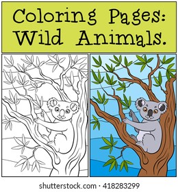 Coloring Pages: Wild Animals. Little cute koala sits on the tree and holds leaves in the paw.