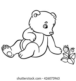 Coloring pages. Wild animals. Little cute baby bear looks at the strawberry.