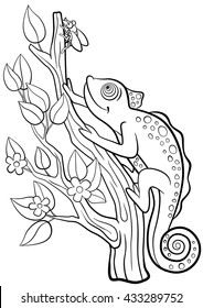 reptile coloring images stock photos vectors shutterstock