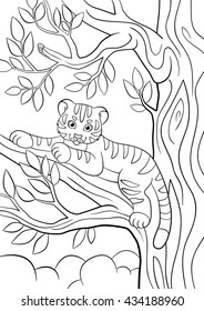 7,743 Coloring book tiger Images, Stock Photos & Vectors | Shutterstock