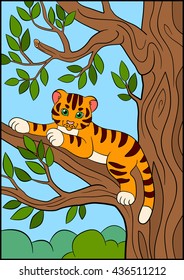 Coloring pages. Wild animals. Little cute baby tiger lays on the tree branch and smiles.