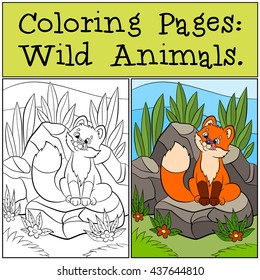 Coloring Pages: Wild animals. Little cute baby fox sits and looks at the fly in his hose. He is smiles.