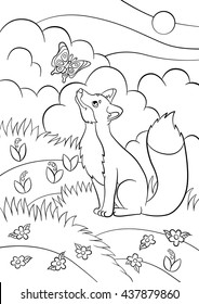 Coloring pages. Wild animals. Little cute fox looks at the butterfly and smiles. There is forest around.