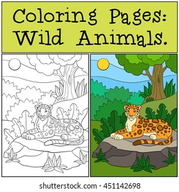 Coloring Pages: Wild Animals. Little cute jaguar lays on the stone in the forest and smiles.