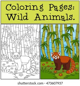 Coloring Pages: Wild Animals. Little cute red panda stands in the forest and smiles.