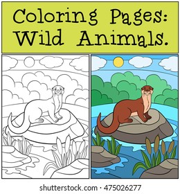 Coloring Pages: Wild Animals. Little cute otter stands on the stone in the river and smiles.