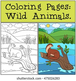 Coloring Pages: Wild Animals. Little cute otter sits on the tree branch and smiles.