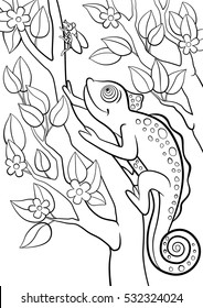 Coloring pages. Wild animals. Little cute chameleon sits on the tree branch and looks at the fly.