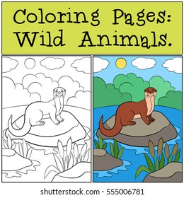 Coloring Pages: Wild Animals. Little cute otter stands on the stone in the river and smiles.