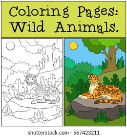 Coloring Pages: Wild Animals. Little cute jaguar lays on the stone in the forest and smiles.